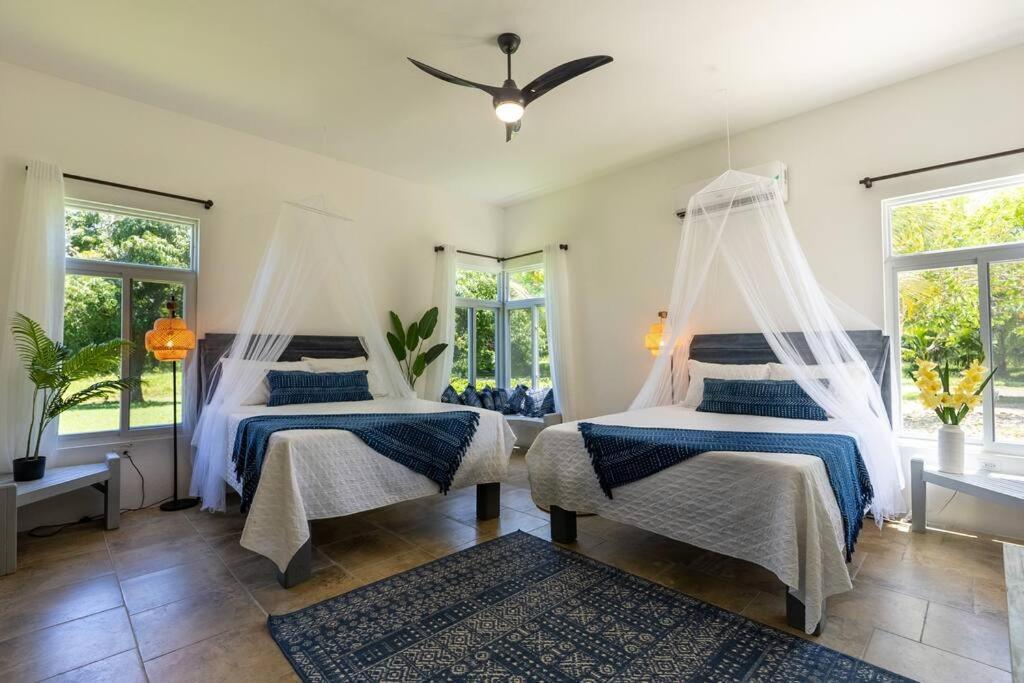 Ivy'S Cove Beach Side Condo - Luxury Villa Whitehouse Eksteriør bilde