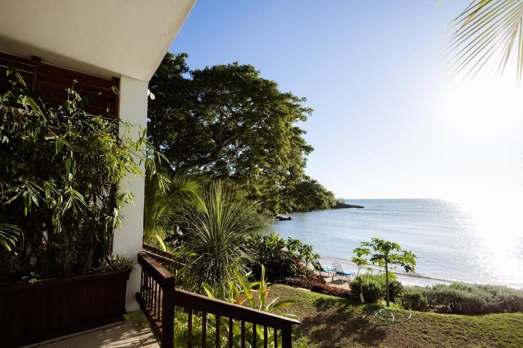 Ivy'S Cove Beach Side Condo - Luxury Villa Whitehouse Eksteriør bilde