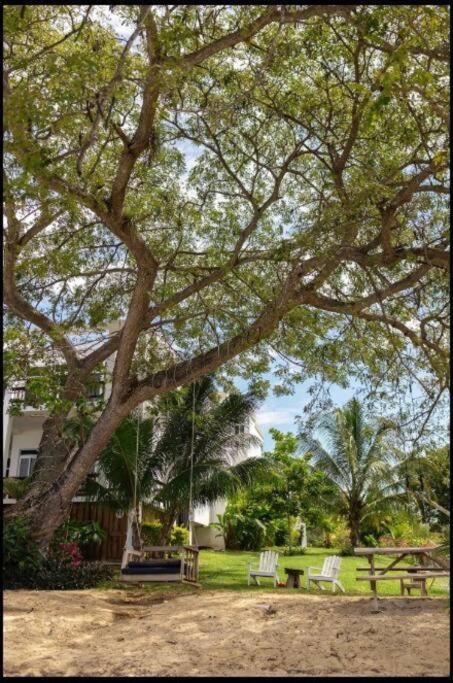 Ivy'S Cove Beach Side Condo - Luxury Villa Whitehouse Eksteriør bilde