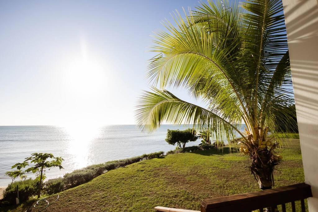 Ivy'S Cove Beach Side Condo - Luxury Villa Whitehouse Eksteriør bilde