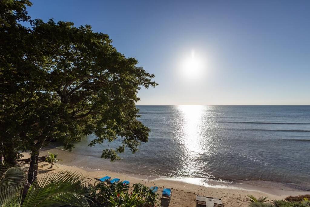 Ivy'S Cove Beach Side Condo - Luxury Villa Whitehouse Eksteriør bilde