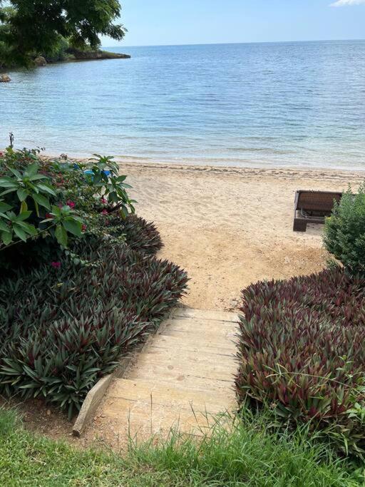 Ivy'S Cove Beach Side Condo - Luxury Villa Whitehouse Eksteriør bilde