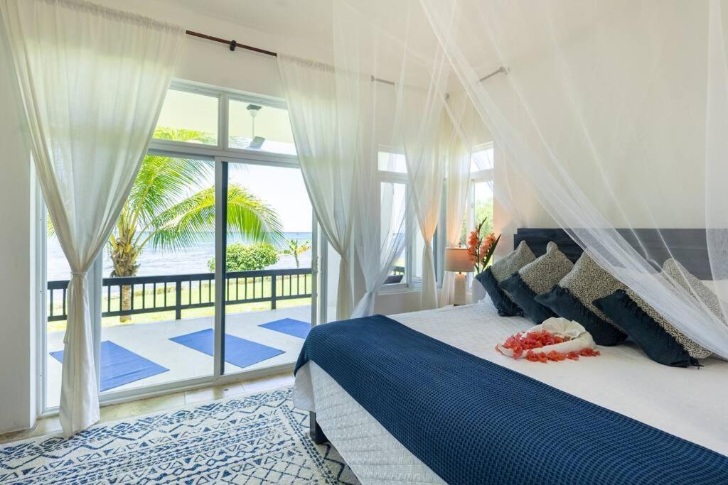 Ivy'S Cove Beach Side Condo - Luxury Villa Whitehouse Eksteriør bilde