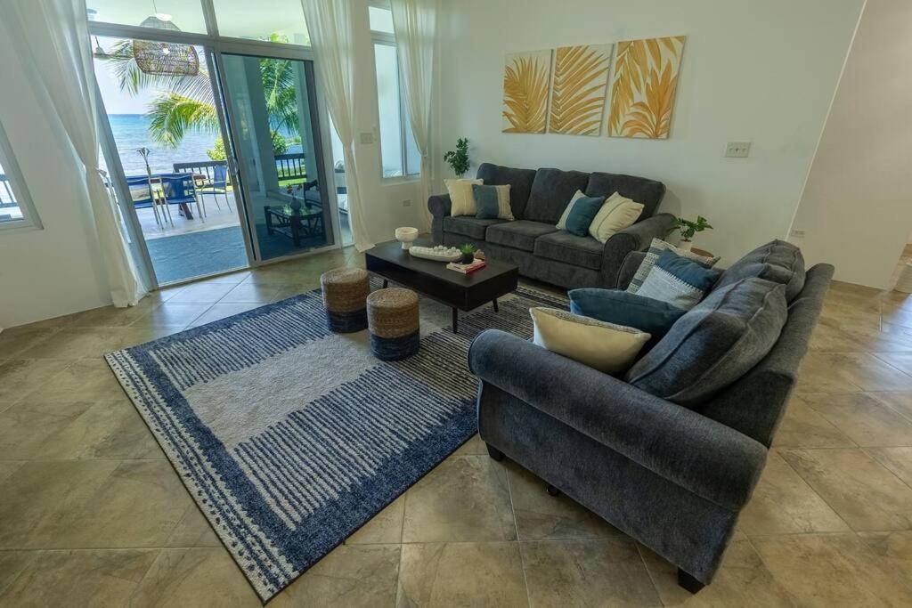 Ivy'S Cove Beach Side Condo - Luxury Villa Whitehouse Eksteriør bilde