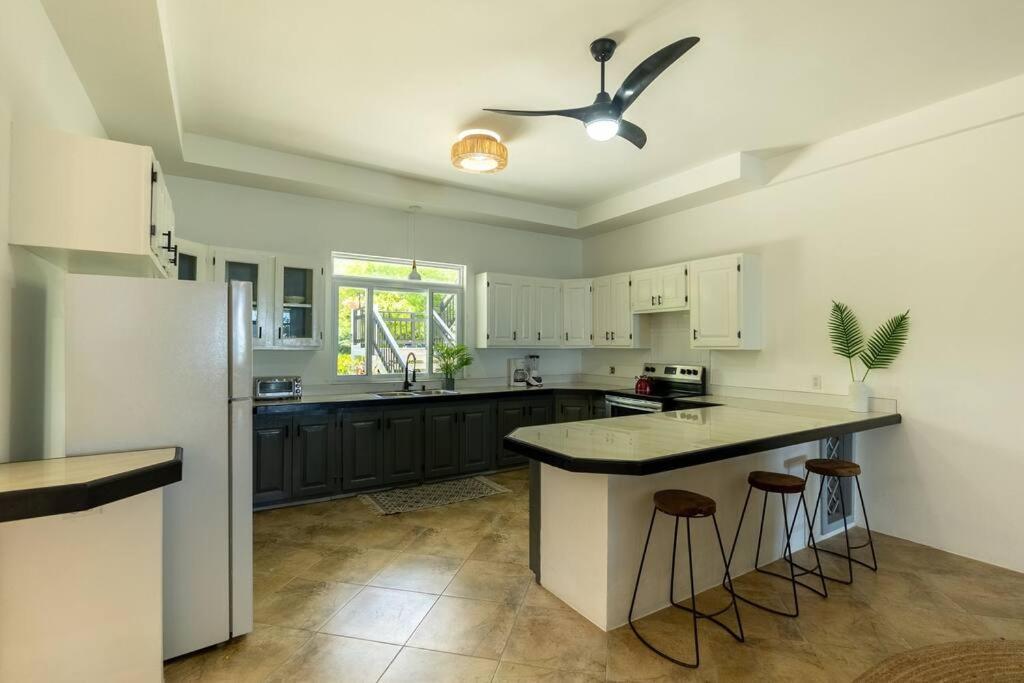 Ivy'S Cove Beach Side Condo - Luxury Villa Whitehouse Eksteriør bilde